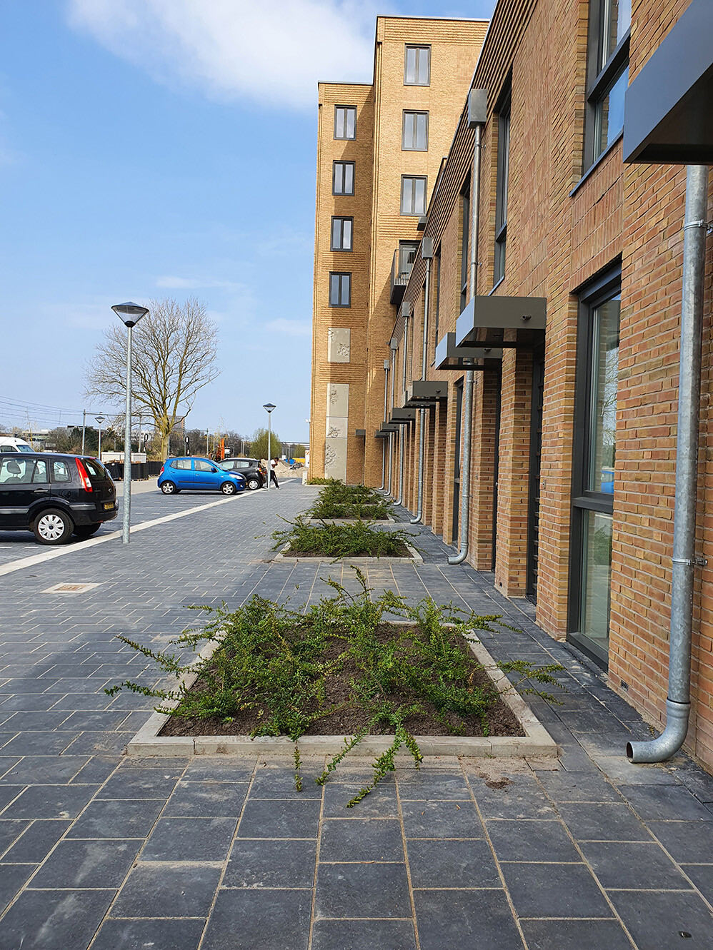 Afkoppelen Noorderlicht Hoorn 01 M