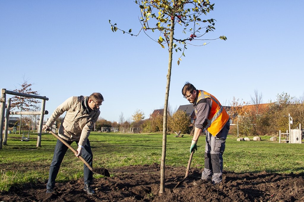 Bomen RTV ridderkerk