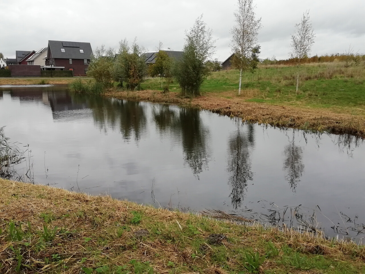 Broekhorn IV Heerhugowaard Roeland Zwaanenburg WF