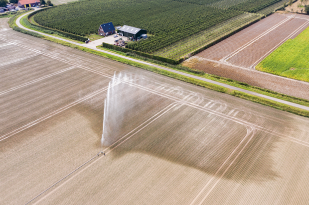 Droogte