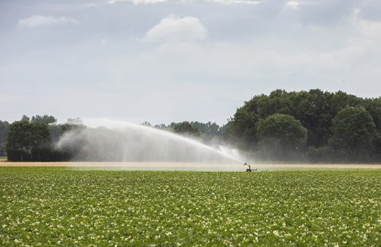 Droogte besproeiing2