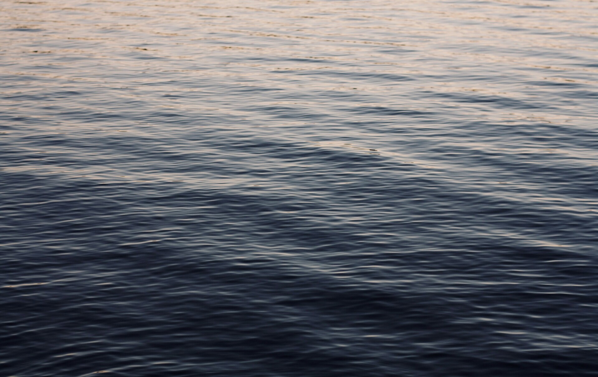Emmy woFhJWcNAYc unsplash