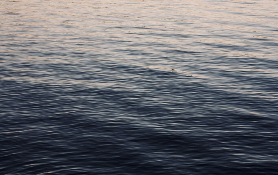 Emmy woFhJWcNAYc unsplash