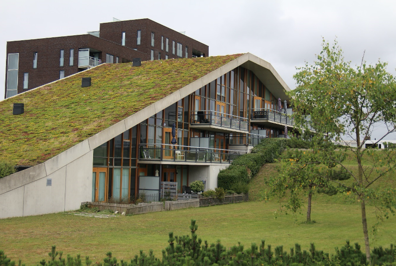 Gebouw met gras op dak