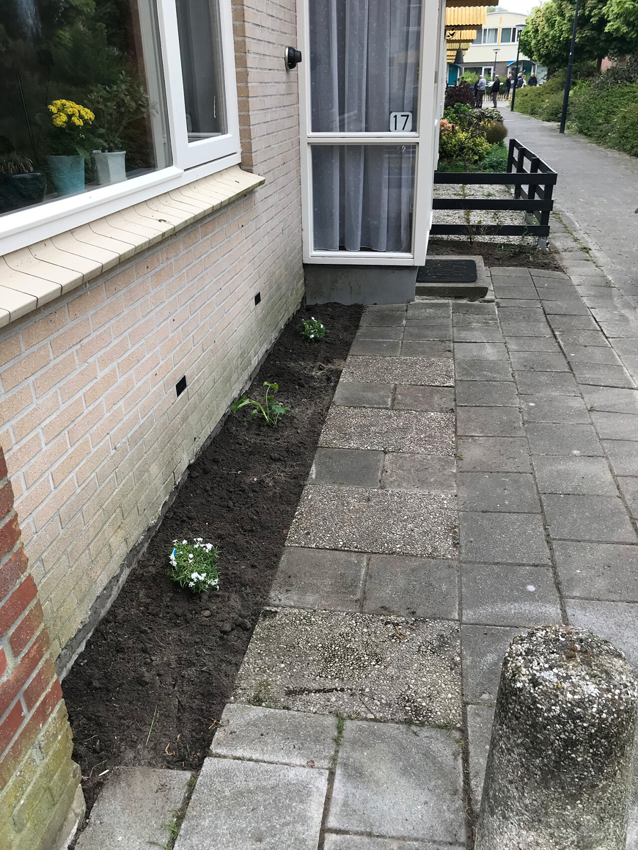 Geveltuinen II Gemeente Hoorn Anouk Groot WF