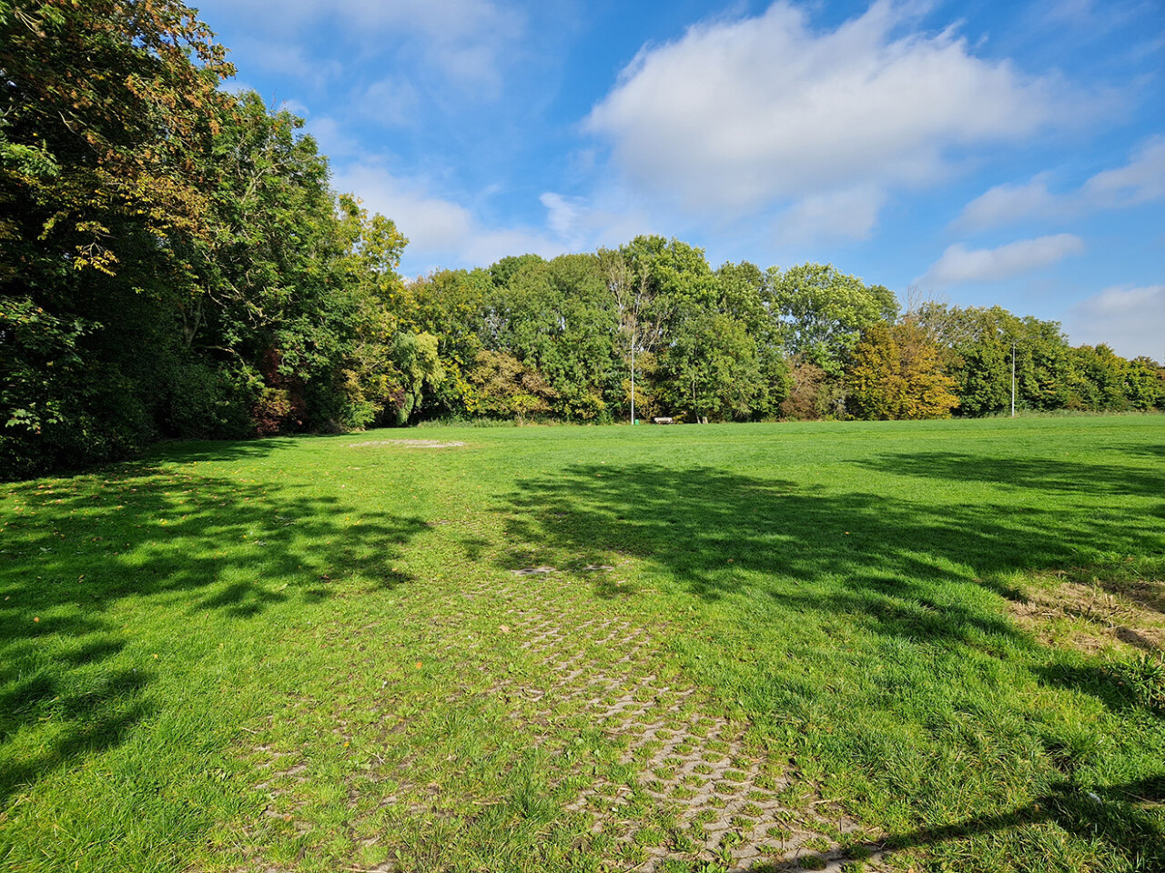 Grasbetontegels I Parkeerterrein de Weijver Hoogwoud Martin Blom WF