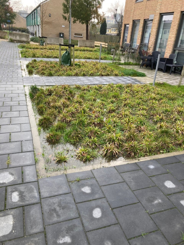 gras met tegels