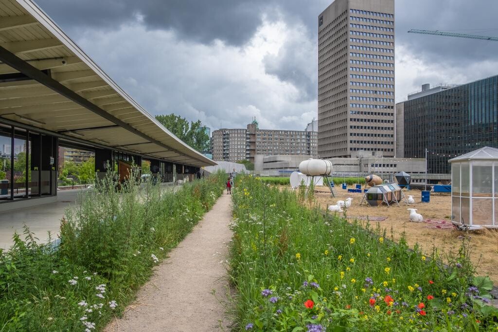 Groene strook gemeente Rotterdam