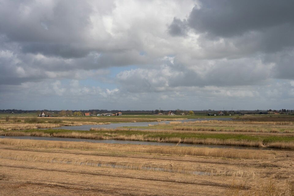 Hengfei yang NL8jhH9 MAE unsplash