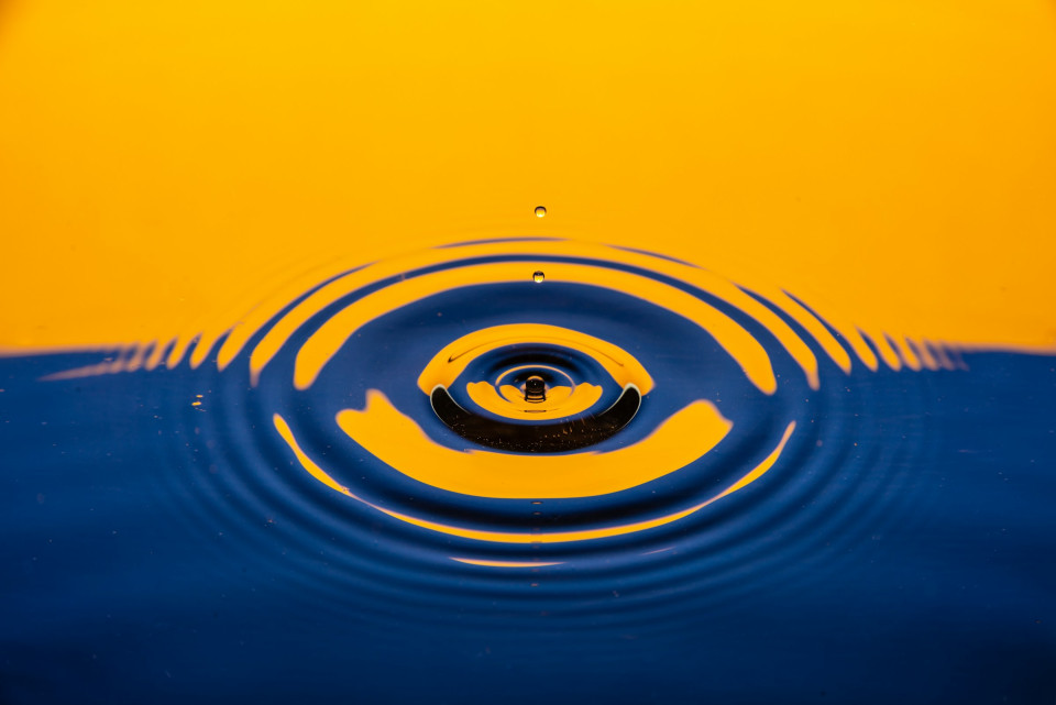 Izzy gibson xqFCy9AbHP4 unsplash