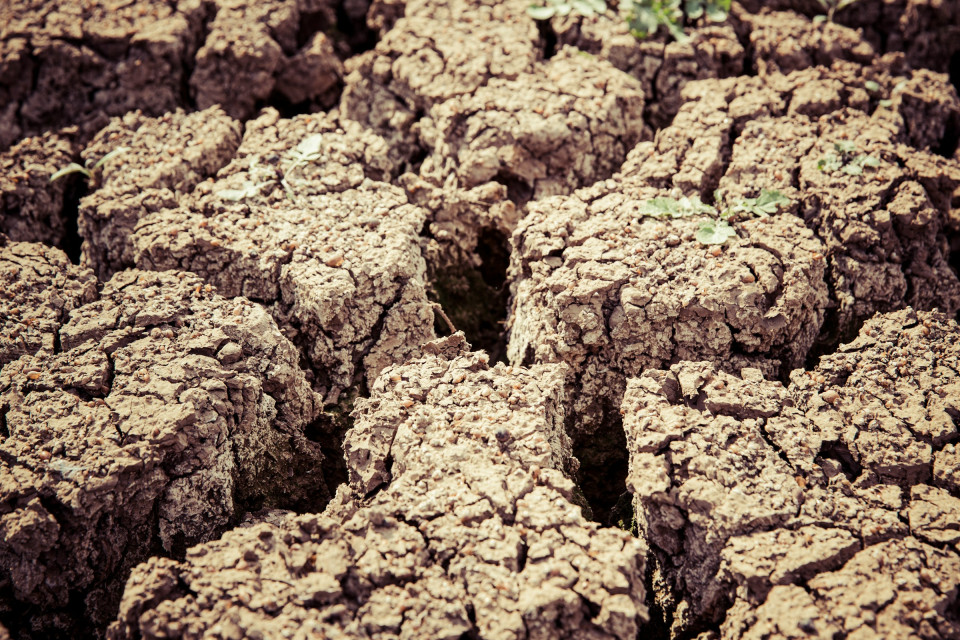 Markus spiske srwTnERpPv0 unsplash (1)