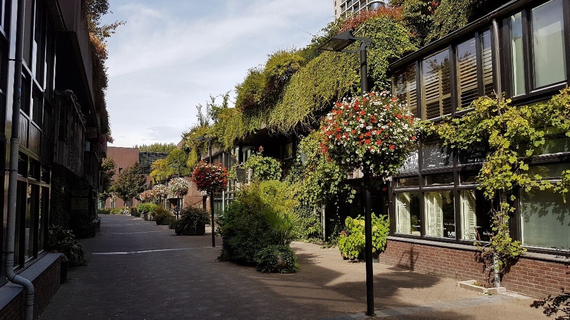 Medina Eindhoven   Sweco