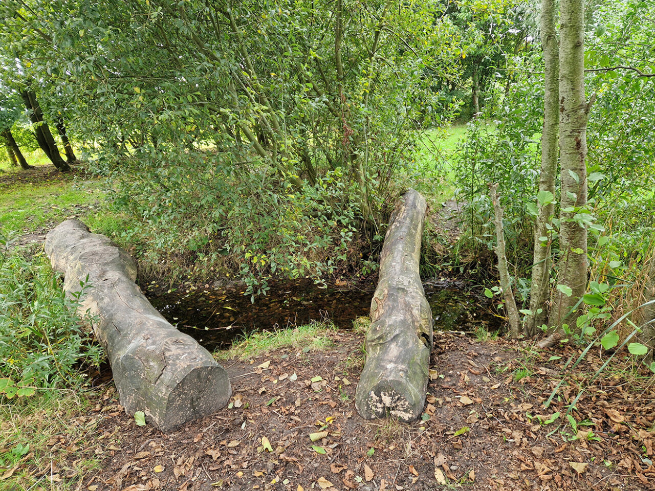 Natuurlijk en waterrijk spelen II Martin Blom WF verkleind