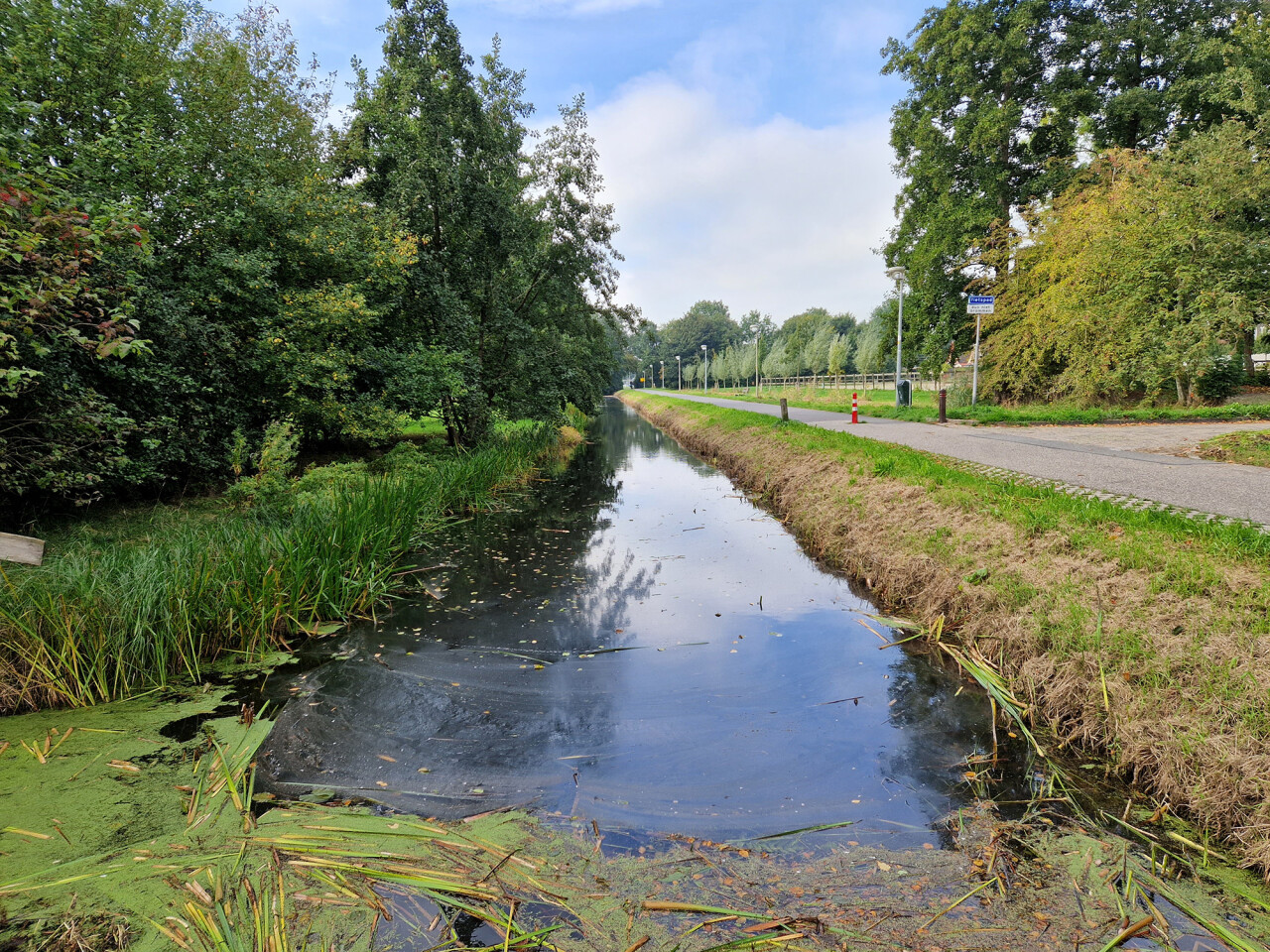 Natuurvriendelijke oever II Hoogwoud Martin Blom WF
