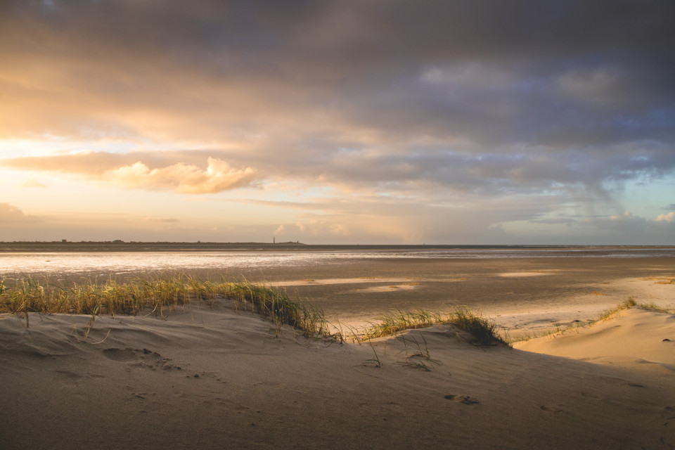 Duinen met uitzicht over zee
