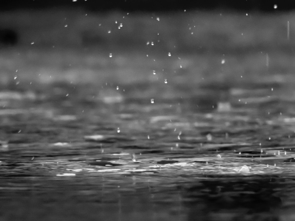 Regen druppelt op de grond