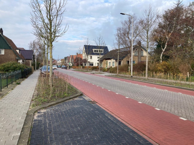 bomen en fietspad en weg en stoep