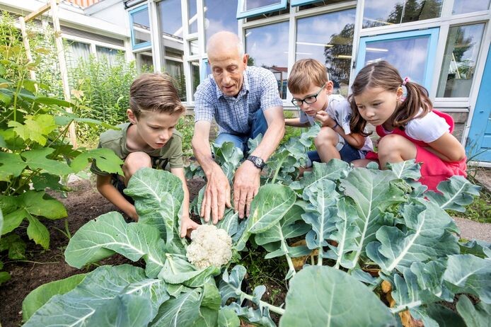Schoolmoestuin   De Gelderlander