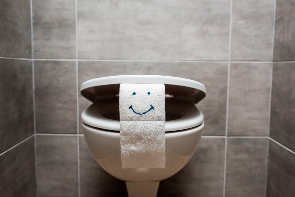 Smiling toilet paper roll in bathroom 2026 03 12 23 58 07 utc