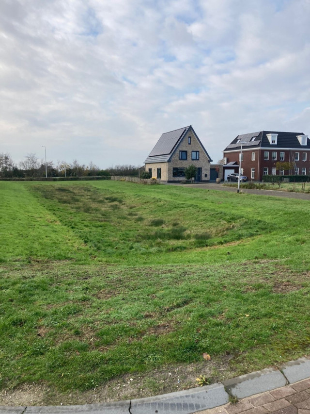 grasveld met huis
