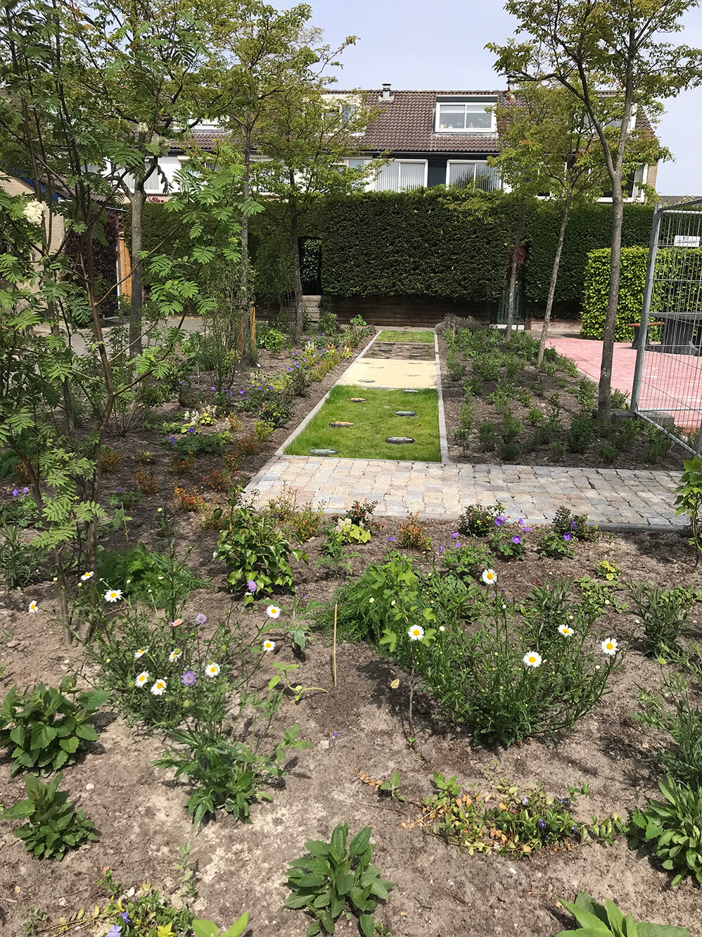 Verkleind Boomspiegels Gemeente Hoorn Anouk Groot WF