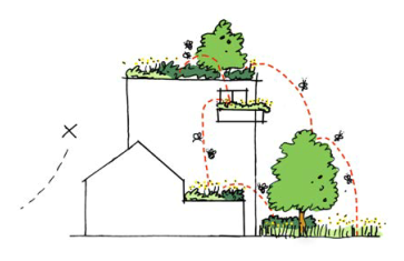Verticale Gelaagdheid Natuurdaken