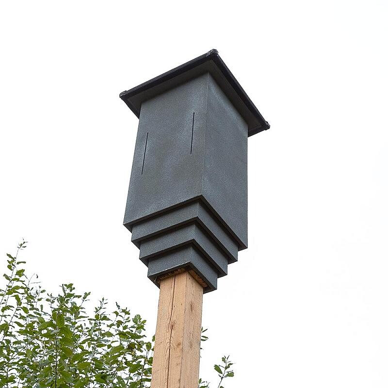 Vleermuizen paalkast Traas Nature Care