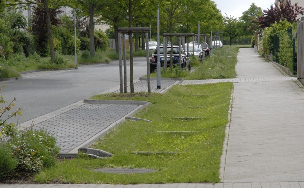 Wateropvang in groen CGconcept.be