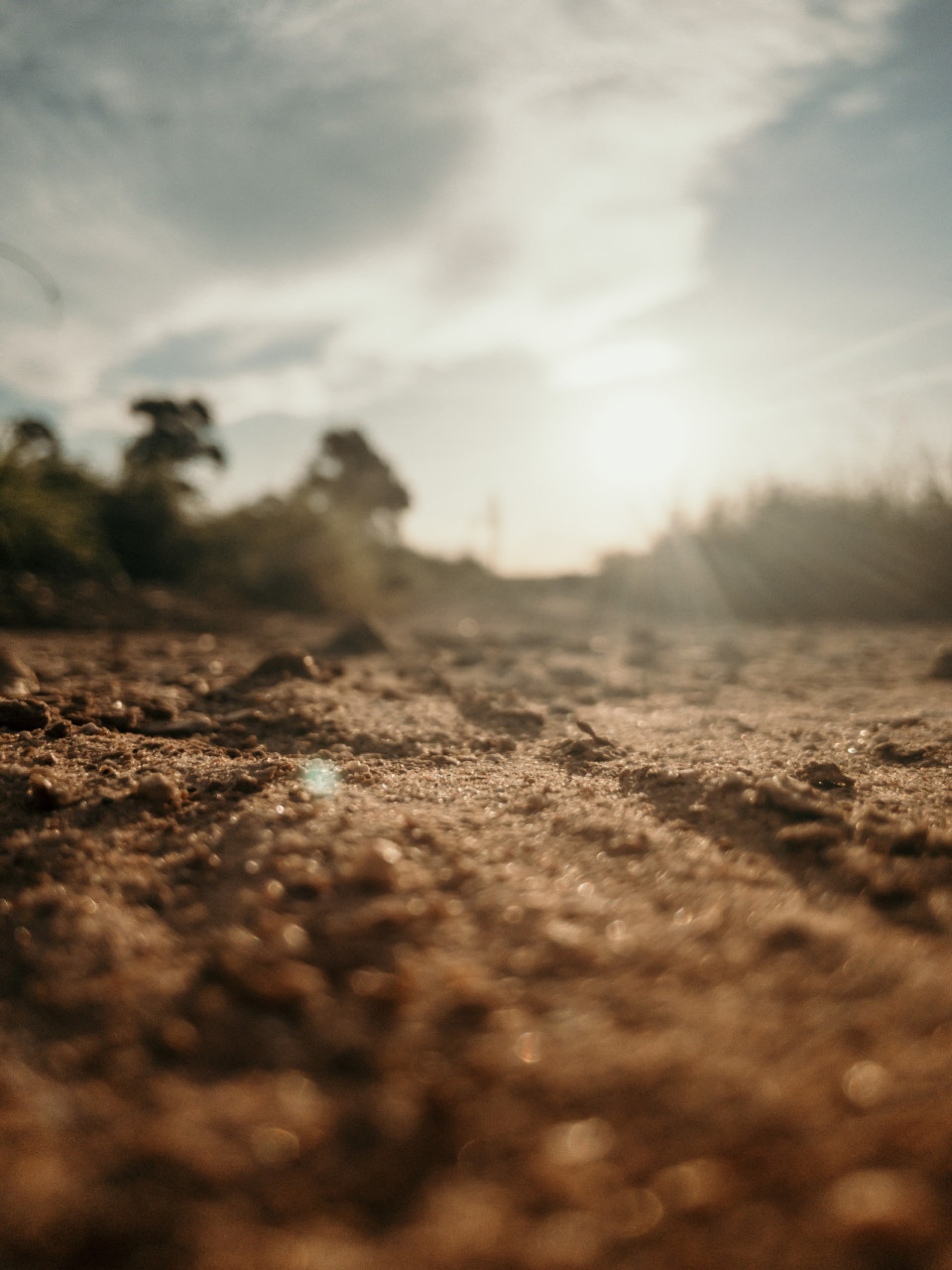 zand op de grond met bomen in de achtergrond